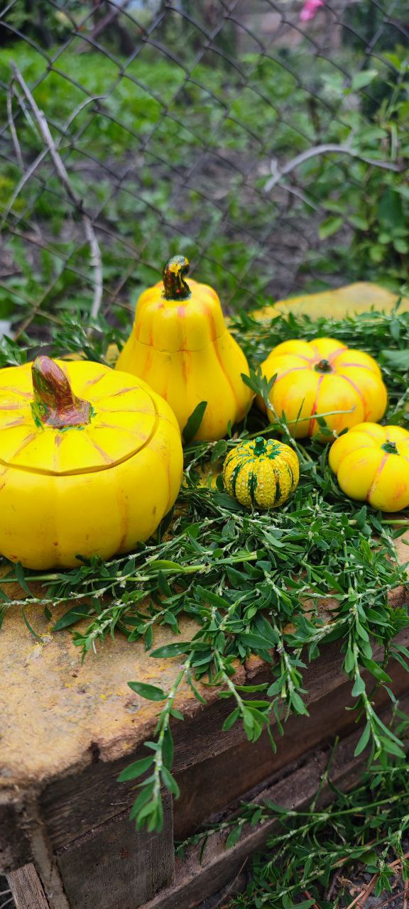 Роботи Ірини Рудої