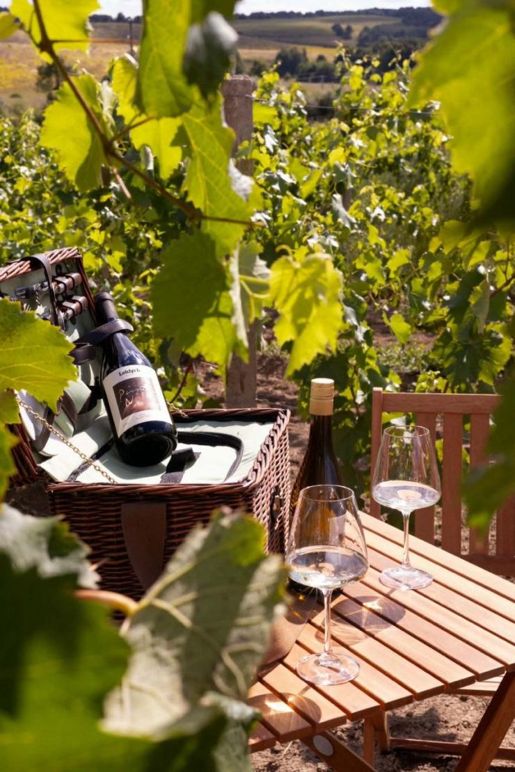 Lehlych Winery
