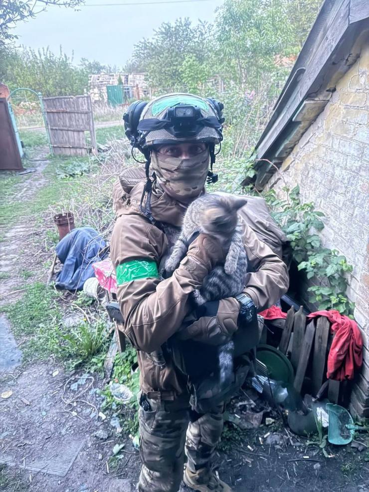 Вовчанськ