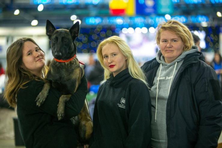 робота
