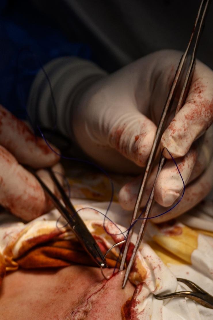 Фото Олександра Плаксіна