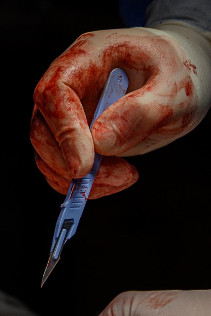 Фото Олександра Плаксіна