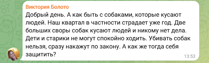 собаки