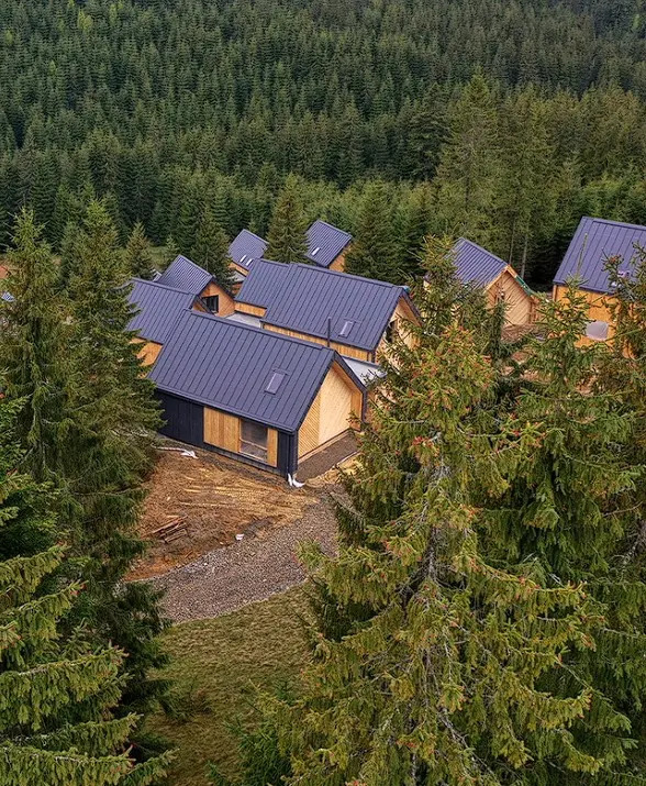 «Лісова дача»: для чого Сіверськодонецька МВА придбала комплекс на Закарпатті