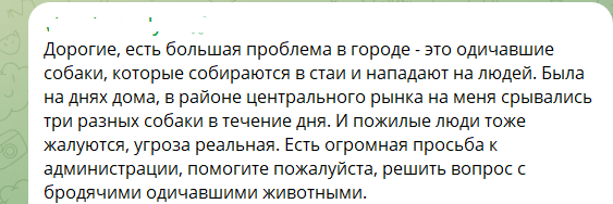 У Сіверськодонецьку вкотре б'ють на сполох через бродячих собак і нарікають на “відписки” окупантів