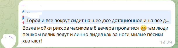У Сіверськодонецьку вкотре б'ють на сполох через бродячих собак і нарікають на “відписки” окупантів